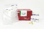 NEW! Fast DNA-spin Plasmid DNA Purification Kit Upgrade, 200 columns